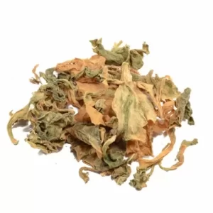 Kanna Leaves - Sceletium Tortuosum (100 Grams)