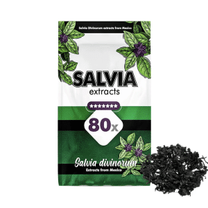 Salvia Divinorum 80X Extract (5 grams)